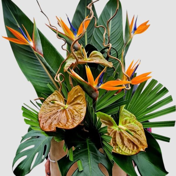 Evadare exotica